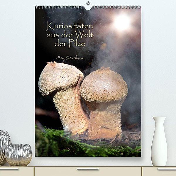 Kuriositäten aus der Welt der Pilze (Premium, hochwertiger DIN A2 Wandkalender 2023, Kunstdruck in Hochglanz), Heinz Schmidbauer