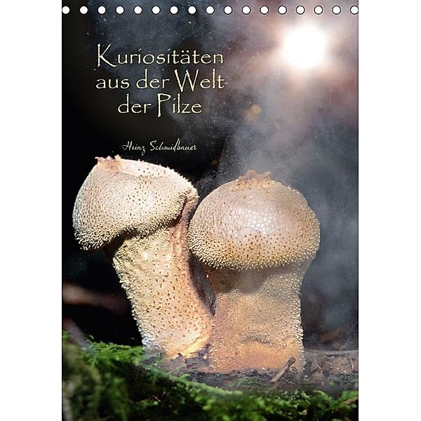 Kuriositäten aus der Welt der Pilze (Tischkalender 2017 DIN A5 hoch), Heinz Schmidbauer