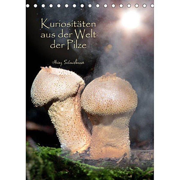 Kuriositäten aus der Welt der Pilze (Tischkalender 2022 DIN A5 hoch), Heinz Schmidbauer