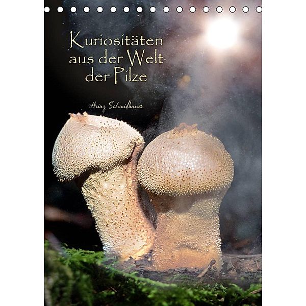 Kuriositäten aus der Welt der Pilze (Tischkalender 2023 DIN A5 hoch), Heinz Schmidbauer