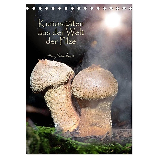 Kuriositäten aus der Welt der Pilze (Tischkalender 2024 DIN A5 hoch), CALVENDO Monatskalender, Heinz Schmidbauer