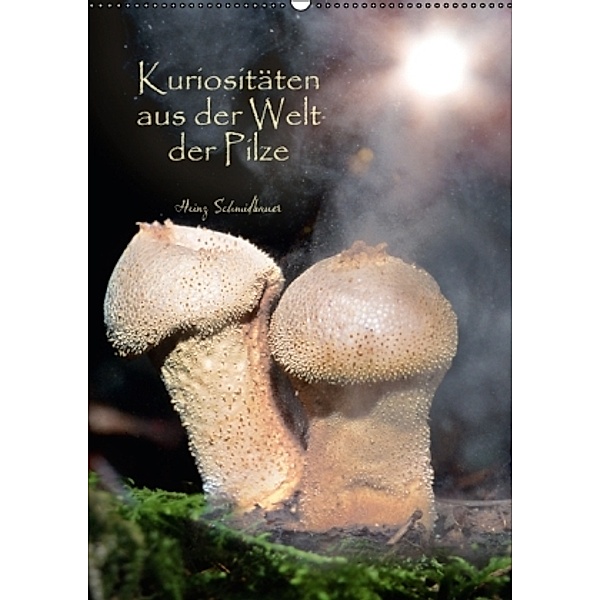 Kuriositäten aus der Welt der Pilze (Wandkalender 2016 DIN A2 hoch), Heinz Schmidbauer