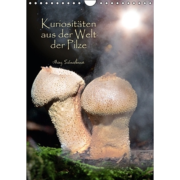 Kuriositäten aus der Welt der Pilze (Wandkalender 2016 DIN A4 hoch), Heinz Schmidbauer
