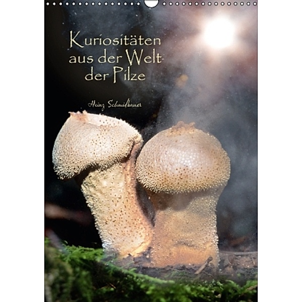 Kuriositäten aus der Welt der Pilze (Wandkalender 2016 DIN A3 hoch), Heinz Schmidbauer