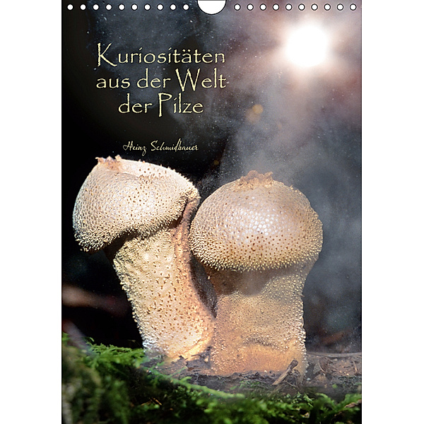 Kuriositäten aus der Welt der Pilze (Wandkalender 2019 DIN A4 hoch), Heinz Schmidbauer