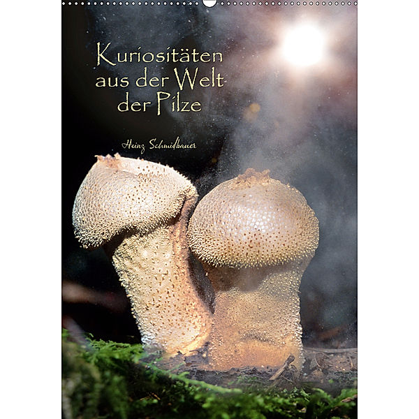 Kuriositäten aus der Welt der Pilze (Wandkalender 2020 DIN A2 hoch), Heinz Schmidbauer