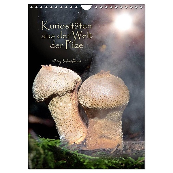 Kuriositäten aus der Welt der Pilze (Wandkalender 2024 DIN A4 hoch), CALVENDO Monatskalender, Heinz Schmidbauer