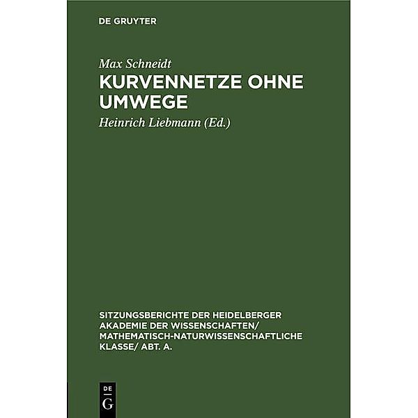 Kurvennetze ohne Umwege, Max Schneidt