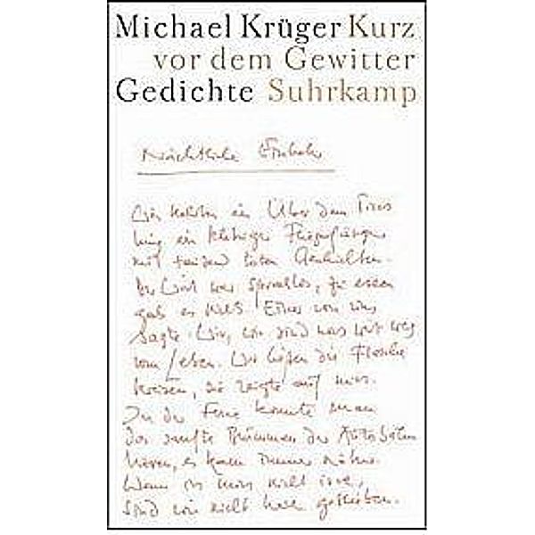 Kurz vor dem Gewitter, Michael Krüger