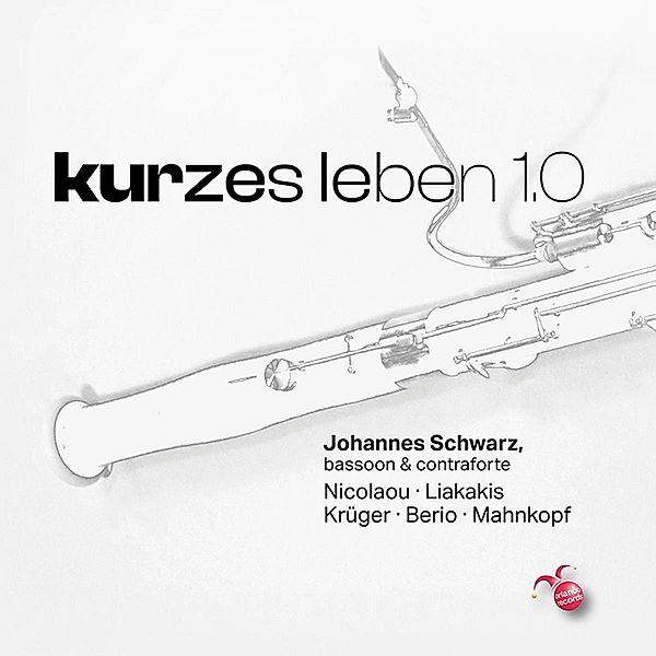 kurzes leben 1.0, Johannes Schwarz