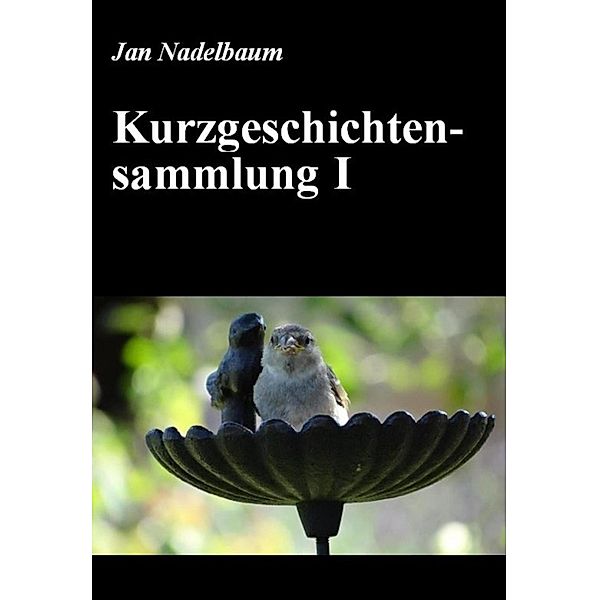 Kurzgeschichtensammlung I, Jan Nadelbaum