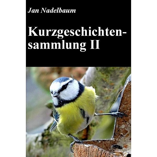Kurzgeschichtensammlung II, Jan Nadelbaum