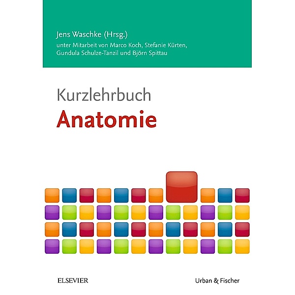 Kurzlehrbuch Anatomie / Kurzlehrbücher (Urban & Fischer), Marco Koch, Stefanie Kürten, Gundula Schulze-Tanzil, Björn Spittau
