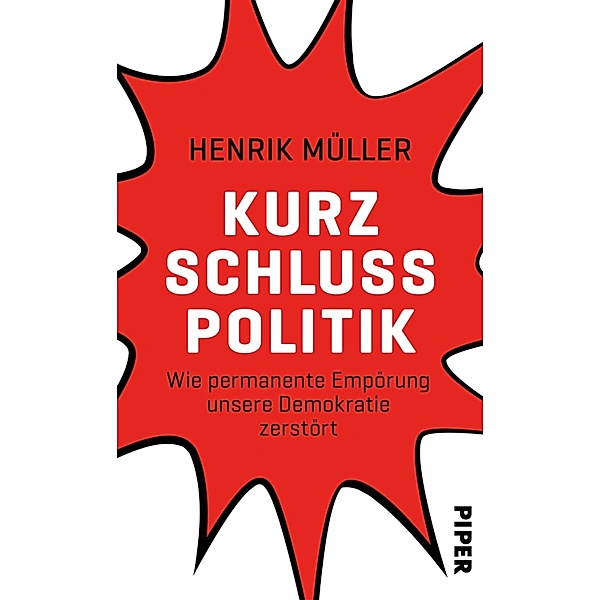 Kurzschlusspolitik, Henrik Müller