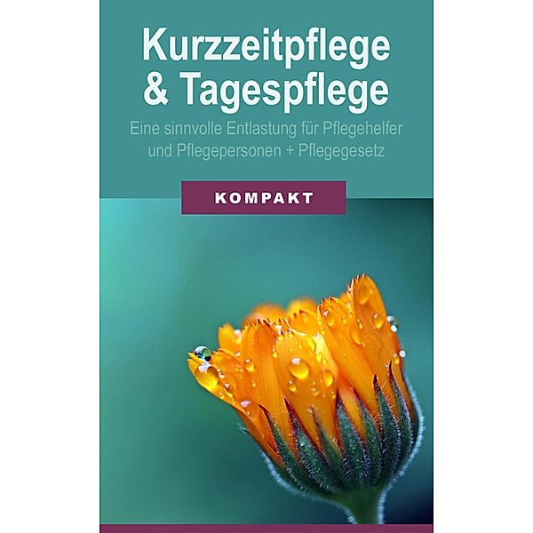 Kurzzeitpflege & Tagespflege - Eine sinnvolle Entlastung für Pflegehelfer & Pflegepersonen + Pflegegesetz 2017, Angelika Schmid