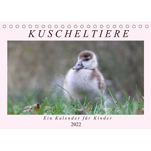 Kuschel-Tiere - Ein Kalender für Kinder (Tischkalender 2022 DIN A5 quer), Flori0