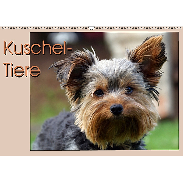 Kuschel-Tiere (Wandkalender 2019 DIN A2 quer), Flori0