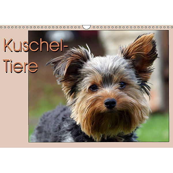 Kuschel-Tiere (Wandkalender 2019 DIN A3 quer), Flori0