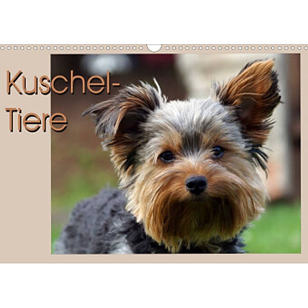 Kuschel-Tiere (Wandkalender 2022 DIN A3 quer), Flori0