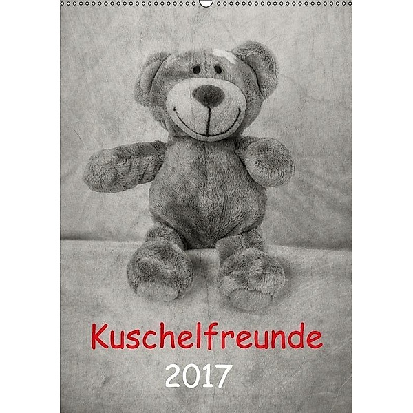 Kuschelfreunde 2017 (Wandkalender 2017 DIN A2 hoch), Hernegger Arnold