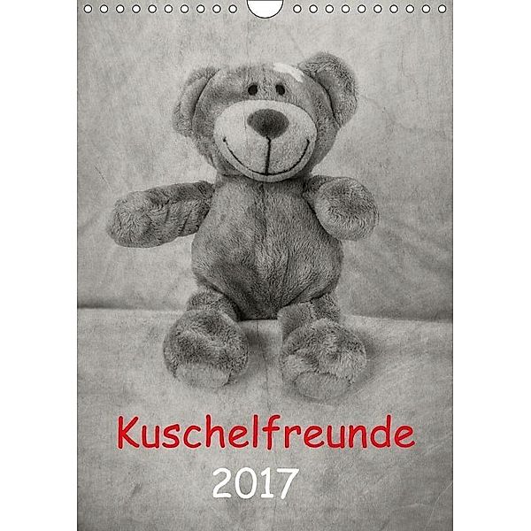 Kuschelfreunde 2017 (Wandkalender 2017 DIN A4 hoch), Hernegger Arnold