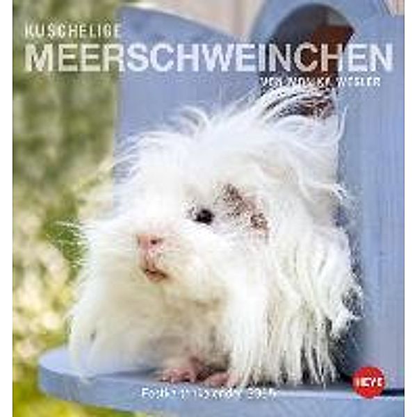 Kuschelige Meerschweinchen Postkartenkalender 2015, Monika Wegler