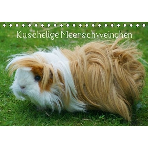 Kuschelige Meerschweinchen (Tischkalender 2015 DIN A5 quer), Kattobello