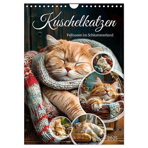 Kuschelkatzen - Fellnasen im Schlummerland (Wandkalender 2025 DIN A4 hoch), CALVENDO Monatskalender, Calvendo, Anja Frost