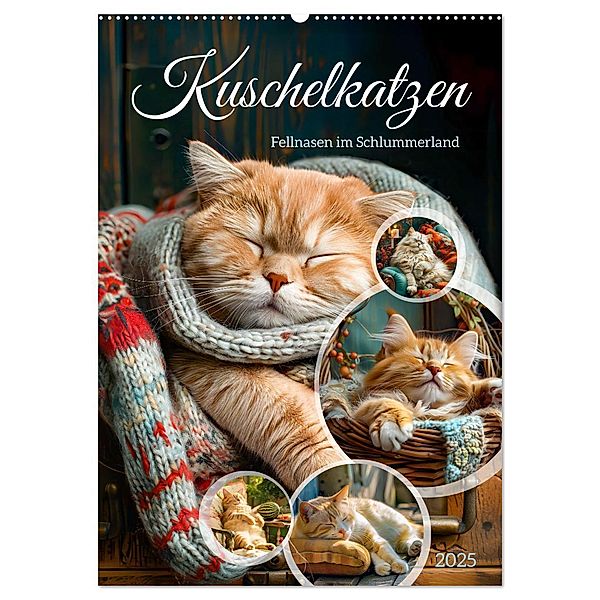 Kuschelkatzen - Fellnasen im Schlummerland (Wandkalender 2025 DIN A2 hoch), CALVENDO Monatskalender, Calvendo, Anja Frost