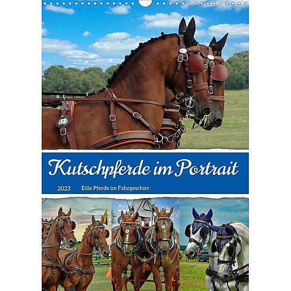 Kutschpferde im Portait (Wandkalender 2023 DIN A3 hoch), Claudia Kleemann