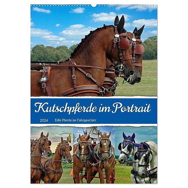 Kutschpferde im Portait (Wandkalender 2024 DIN A2 hoch), CALVENDO Monatskalender, Claudia Kleemann