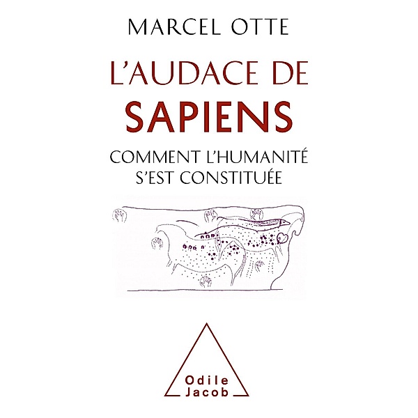 L' Audace de Sapiens, Otte Marcel Otte