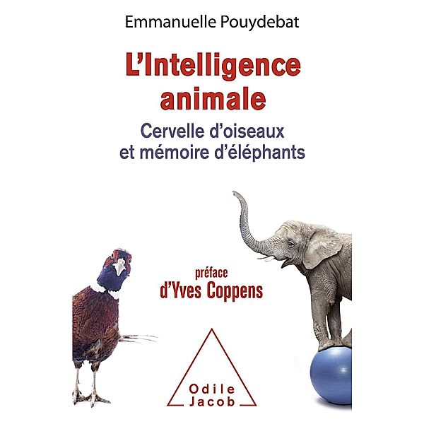 L' Intelligence animale, Pouydebat Emmanuelle Pouydebat