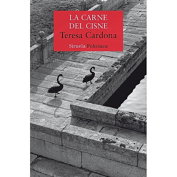 La carne del cisne / Nuevos Tiempos Bd.525, Teresa Cardona