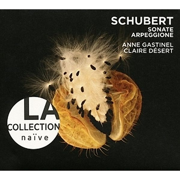 La Collection Naive-Arpeggione, Anne Gastinel, Claire Desert