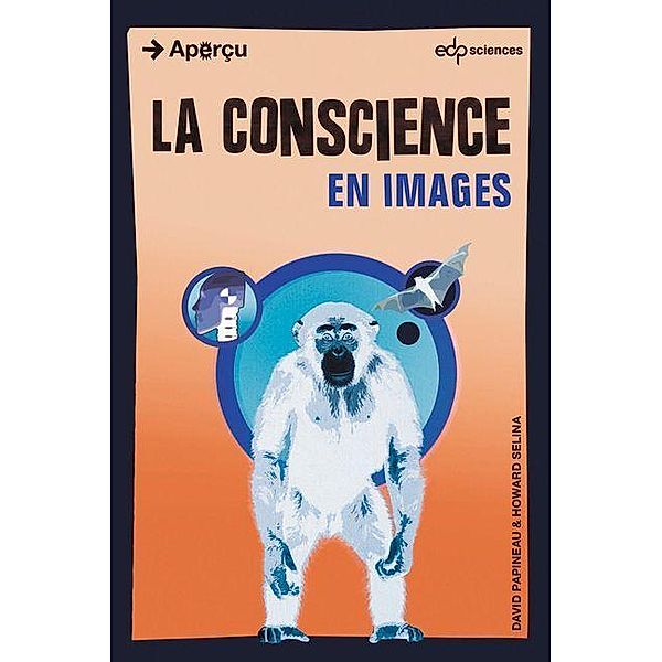 La conscience en images, David Papineau, Howard Selina