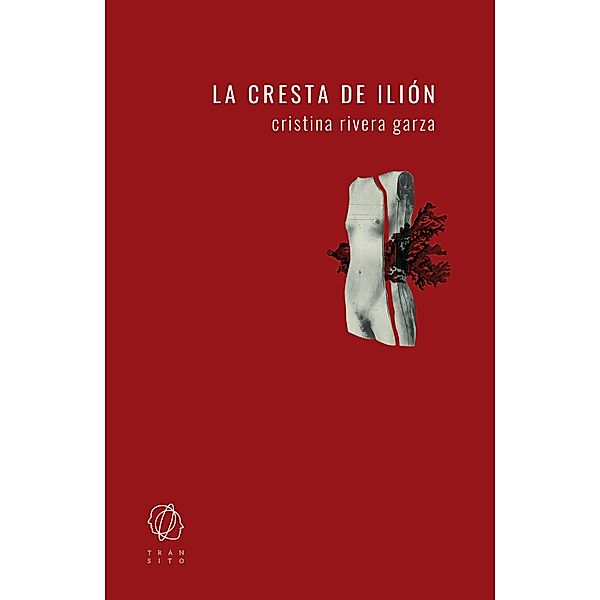 La cresta de Ilión, Cristina Rivera Garza