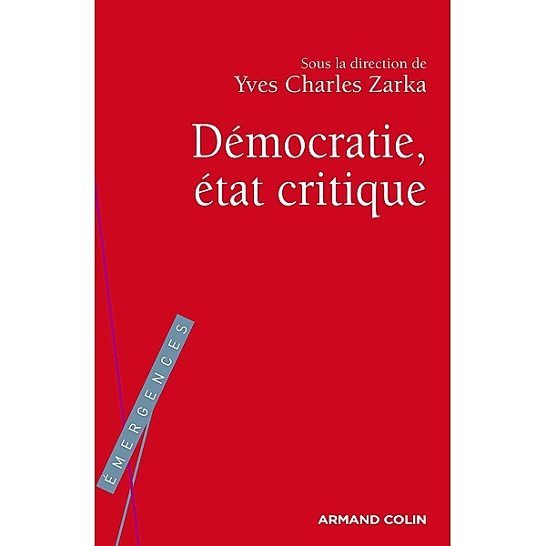 La Démocratie, état critique / Hors Collection, Yves Charles Zarka