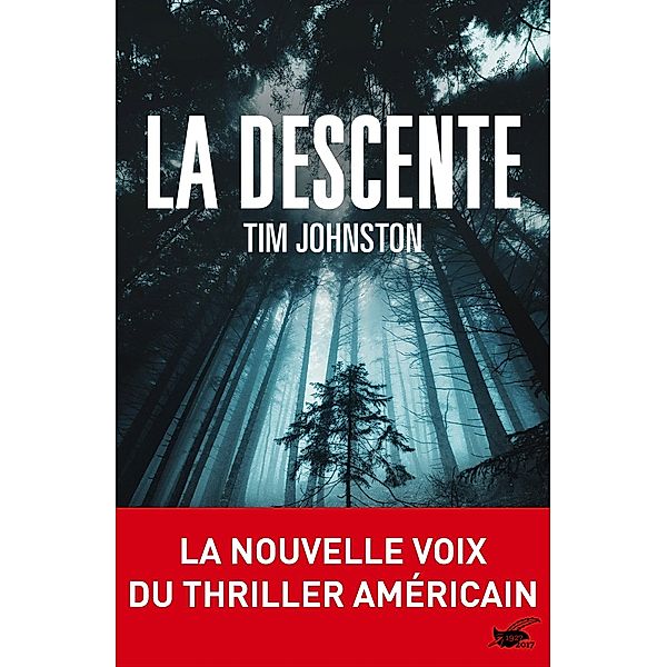 La descente / Grands Formats, Tim Johnston