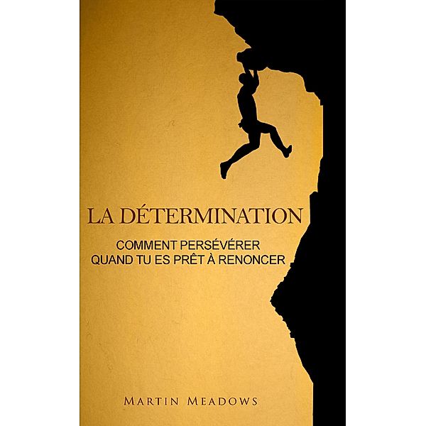 La détermination: Comment persévérer quand tu es prêt à renoncer, Martin Meadows