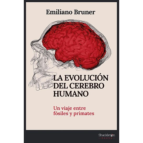 La evolución del cerebro humano / Ciencia, Emiliano Bruner