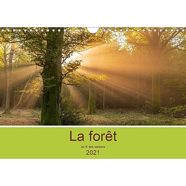 La forêt au fil des saisons (Calendrier mural 2021 DIN A4 horizontal), Stéphane Bouilland