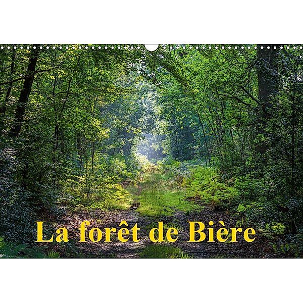 La forêt de Bière (Calendrier mural 2021 DIN A3 horizontal), Djamal Makhloufi