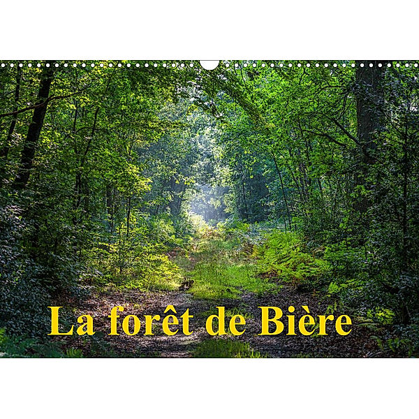 La forêt de Bière (Calendrier mural 2023 DIN A3 horizontal), Djamal Makhloufi