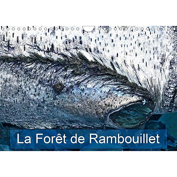 La forêt de Rambouillet (Calendrier mural 2021 DIN A4 horizontal), N N