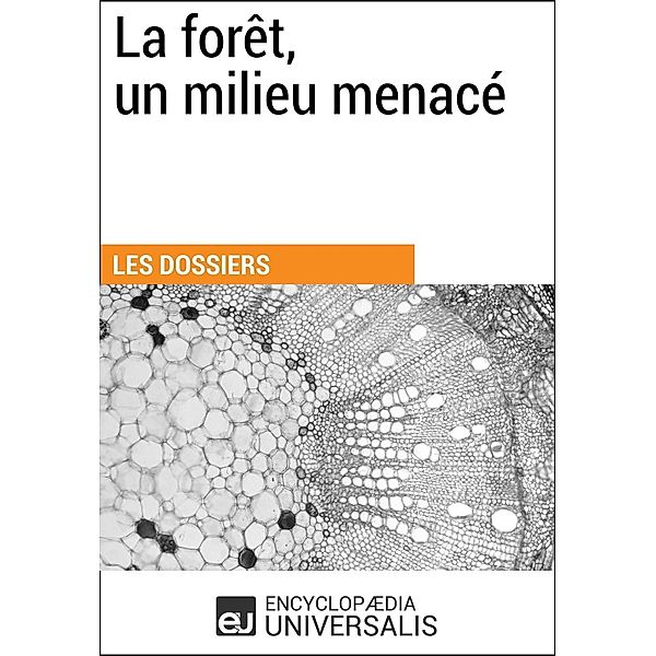 La forêt, un milieu menacé, Encyclopaedia Universalis