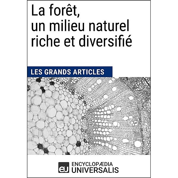La forêt, un milieu naturel riche et diversifié, Encyclopaedia Universalis