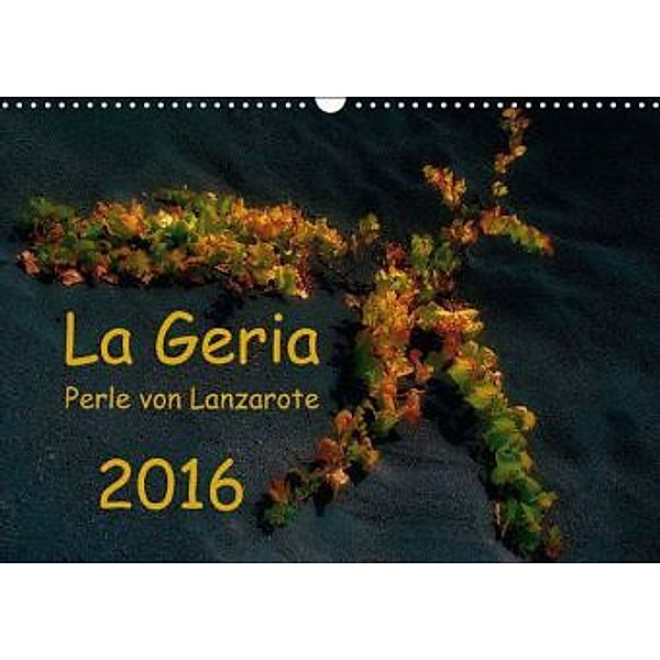 La Geria - Perle von Lanzarote (Wandkalender 2016 DIN A3 quer), Ewald Steenblock
