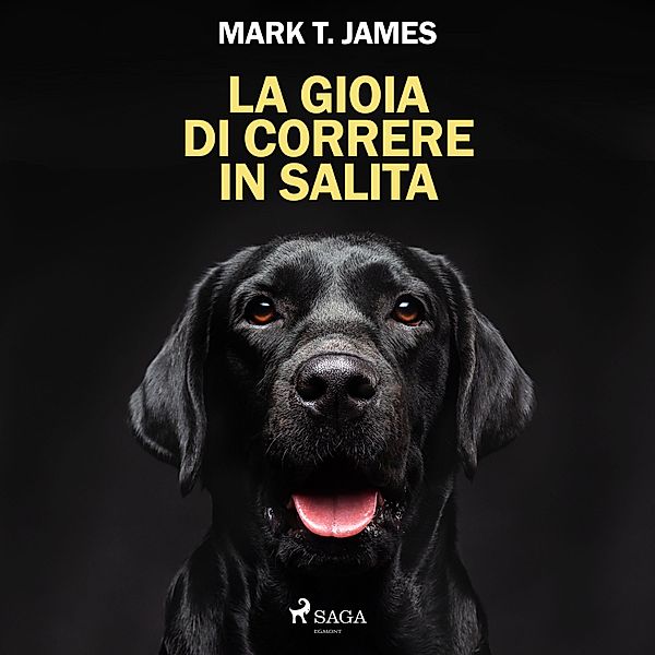 La gioia di correre in salita. Come un cane nero ha illuminato ogni cosa, Mark T. James