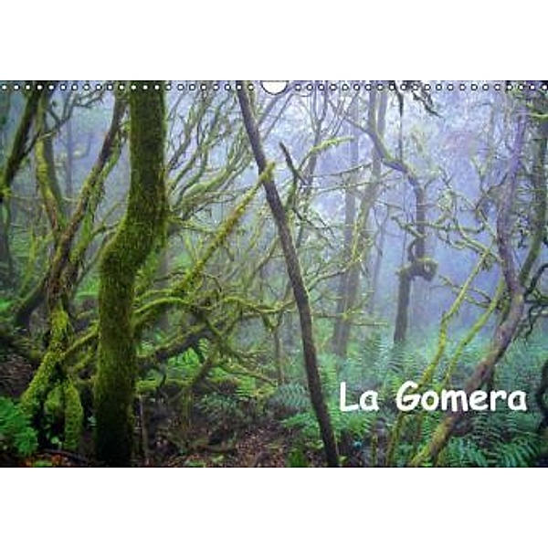 La Gomera (Wandkalender 2015 DIN A3 quer), Manfred Betzwieser